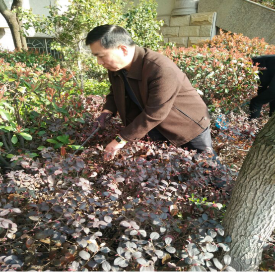撰稿:黃麗賢學雷鋒,樹新風(1)(1)195.png